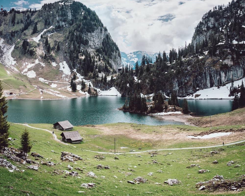 Car can protocol analysis tool usage