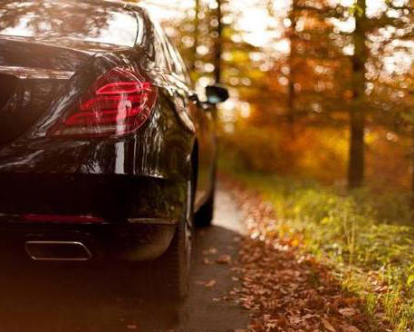 Why is the CAN bus system widely used in automobiles?